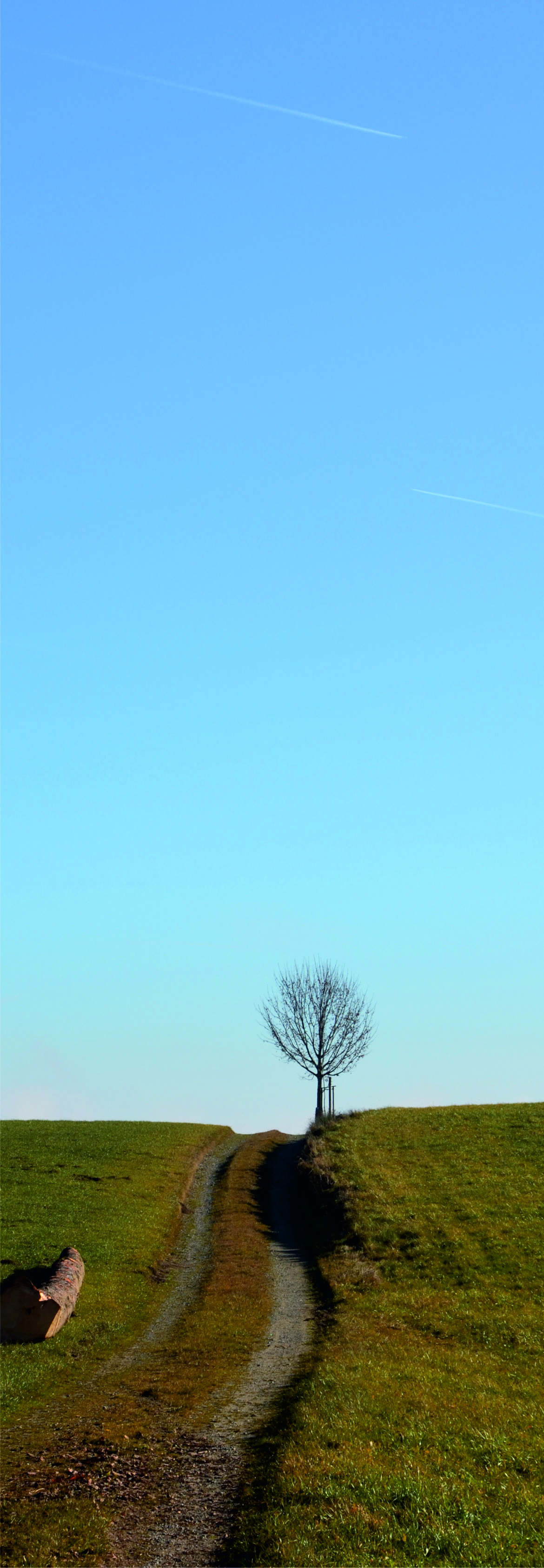 WilliamsSeite001